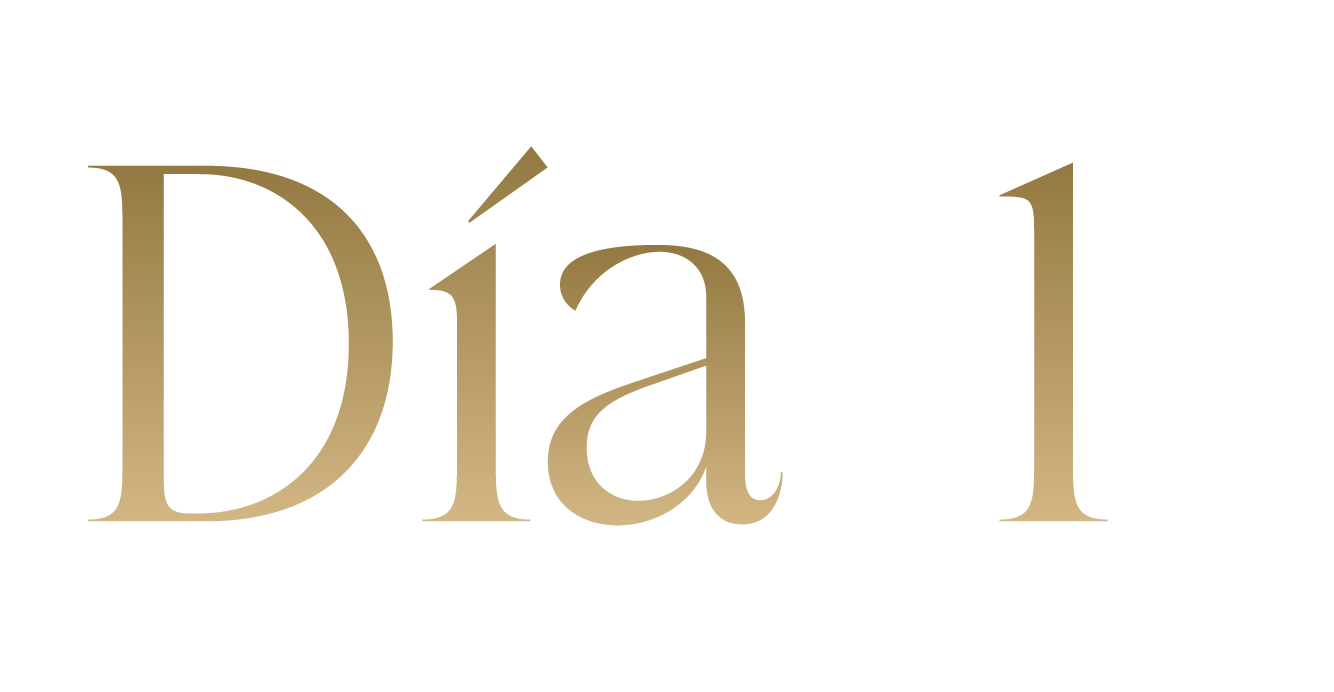 Día 1
