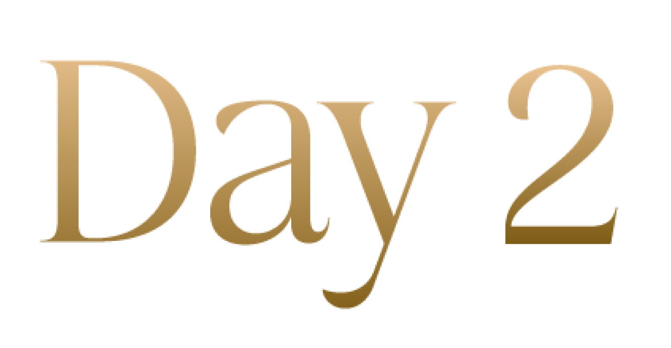 Día 2