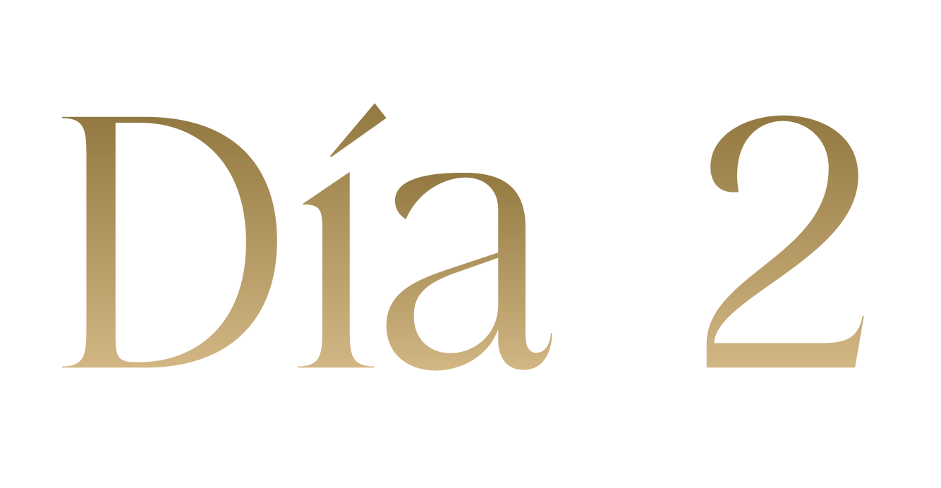 Día 2