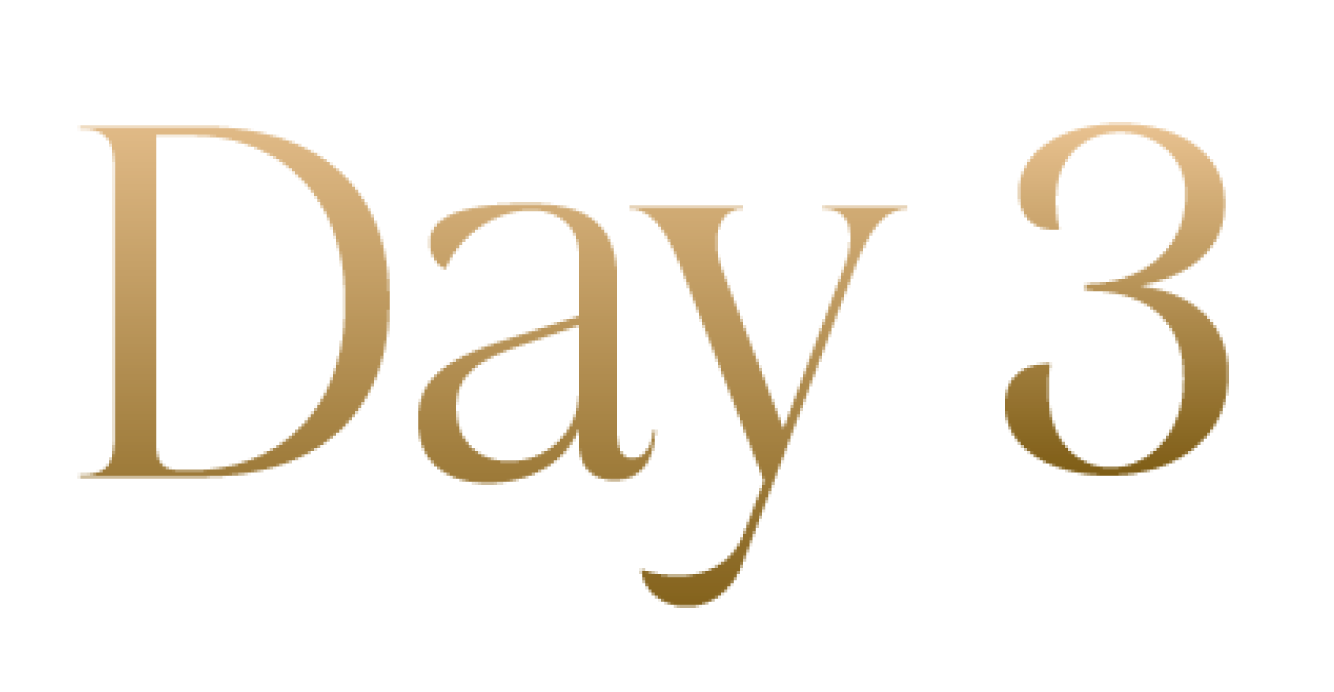 Día 3